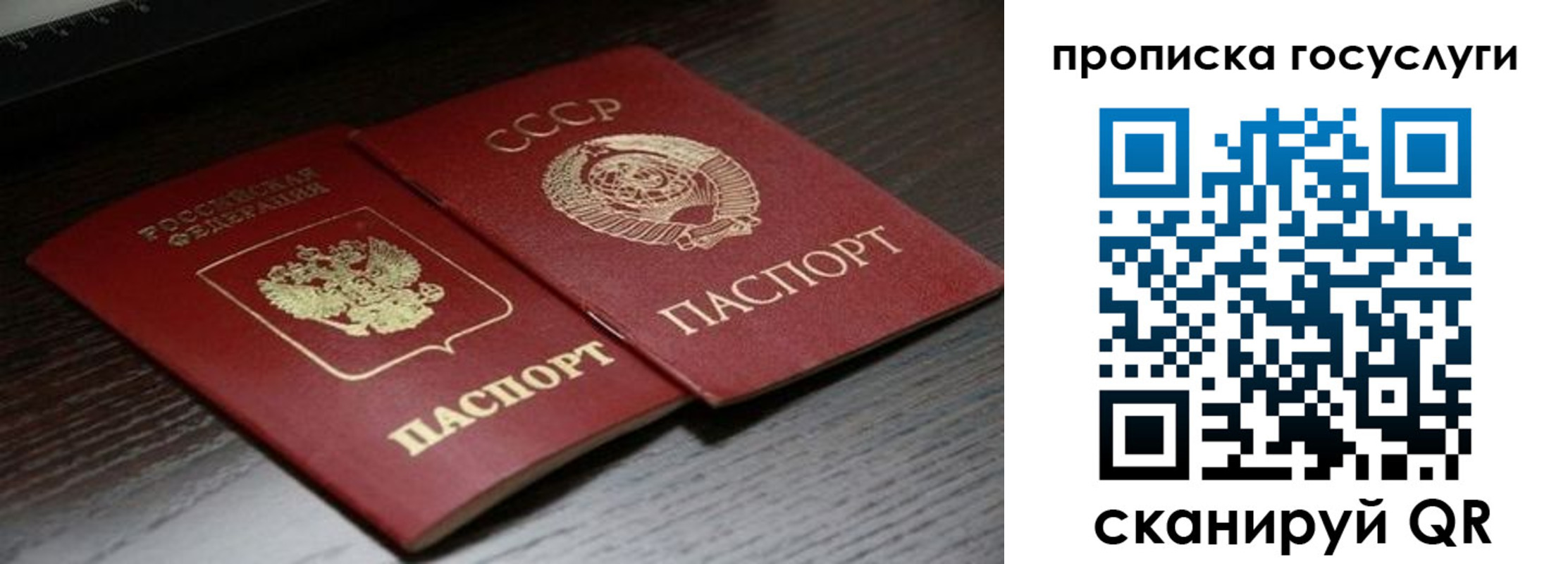 прописка иностранных граждан в Зеленодольске